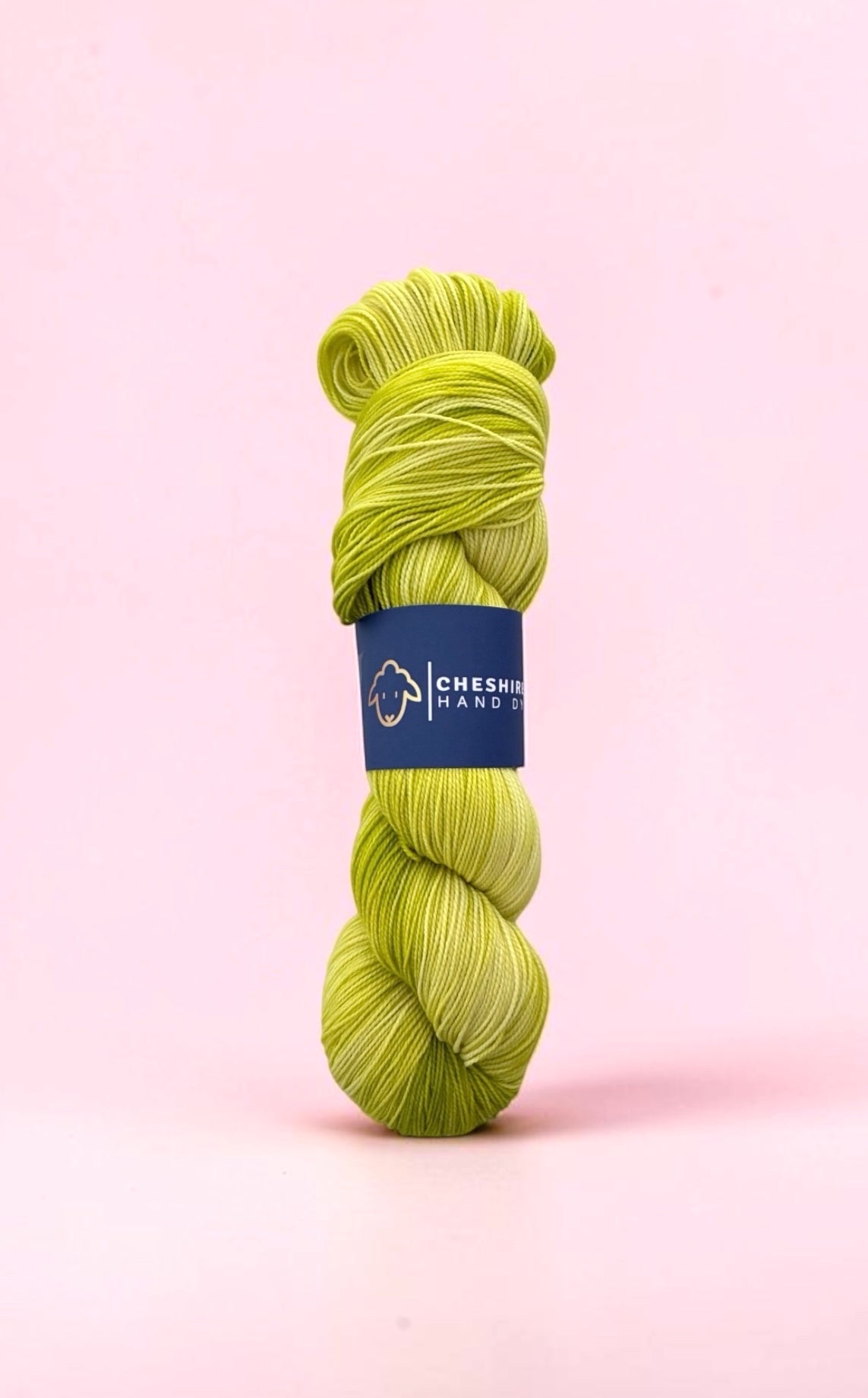 Cabbage Juice - Fingering Weight - Cashmere & Merino Wool