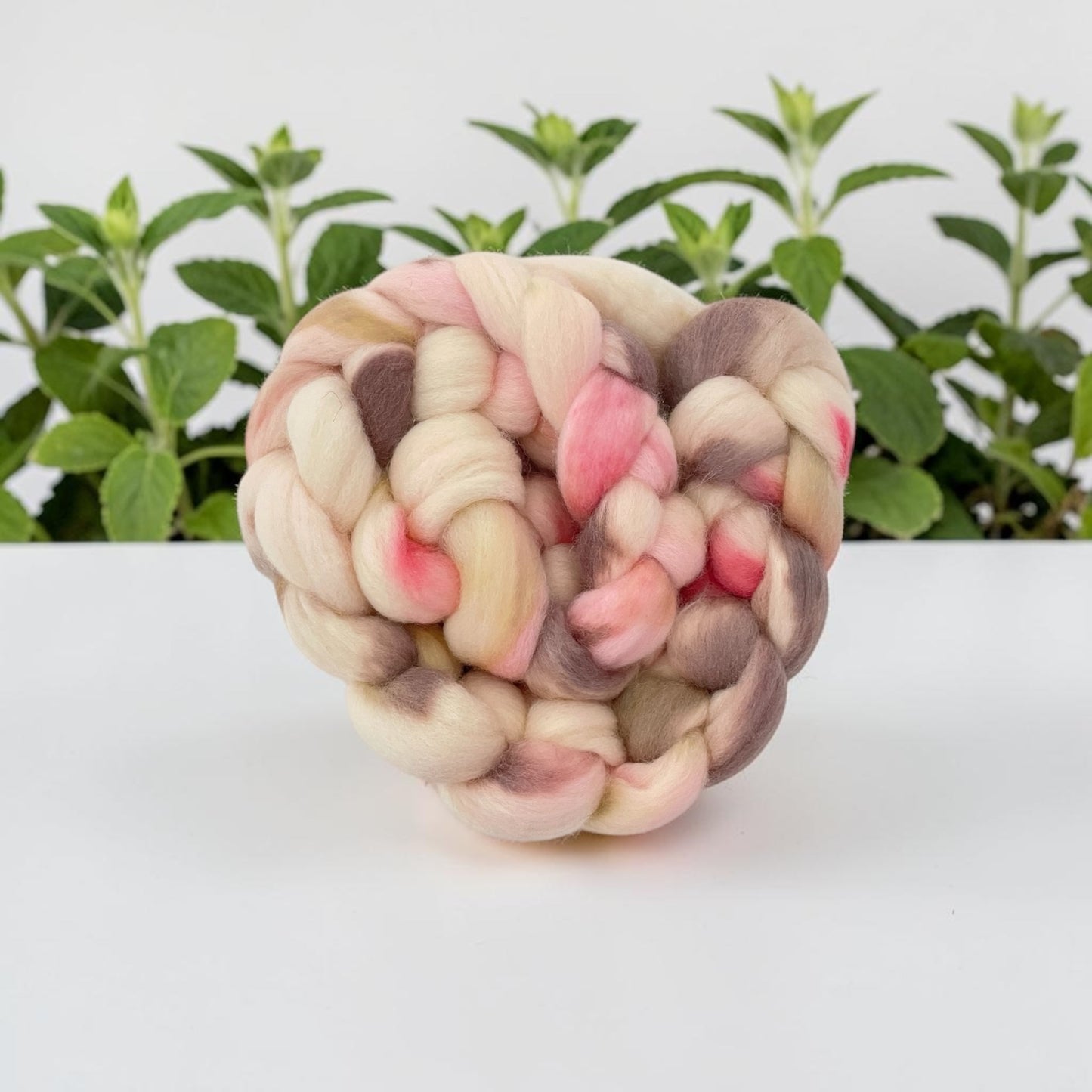 Rhubarb Fool - 100% Corriedale Wool Top Spinning Fibre/Fiber