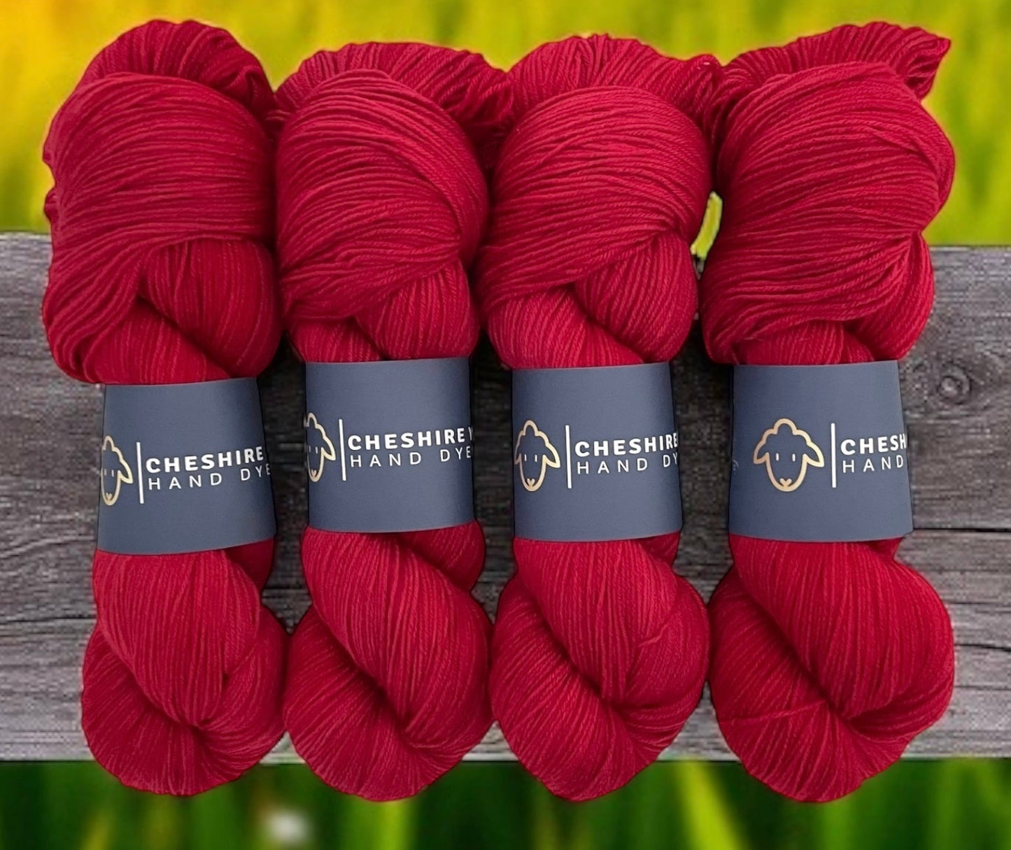 Four skeins of non superwash fingering weight sustainable merino wool, hand dyed red.