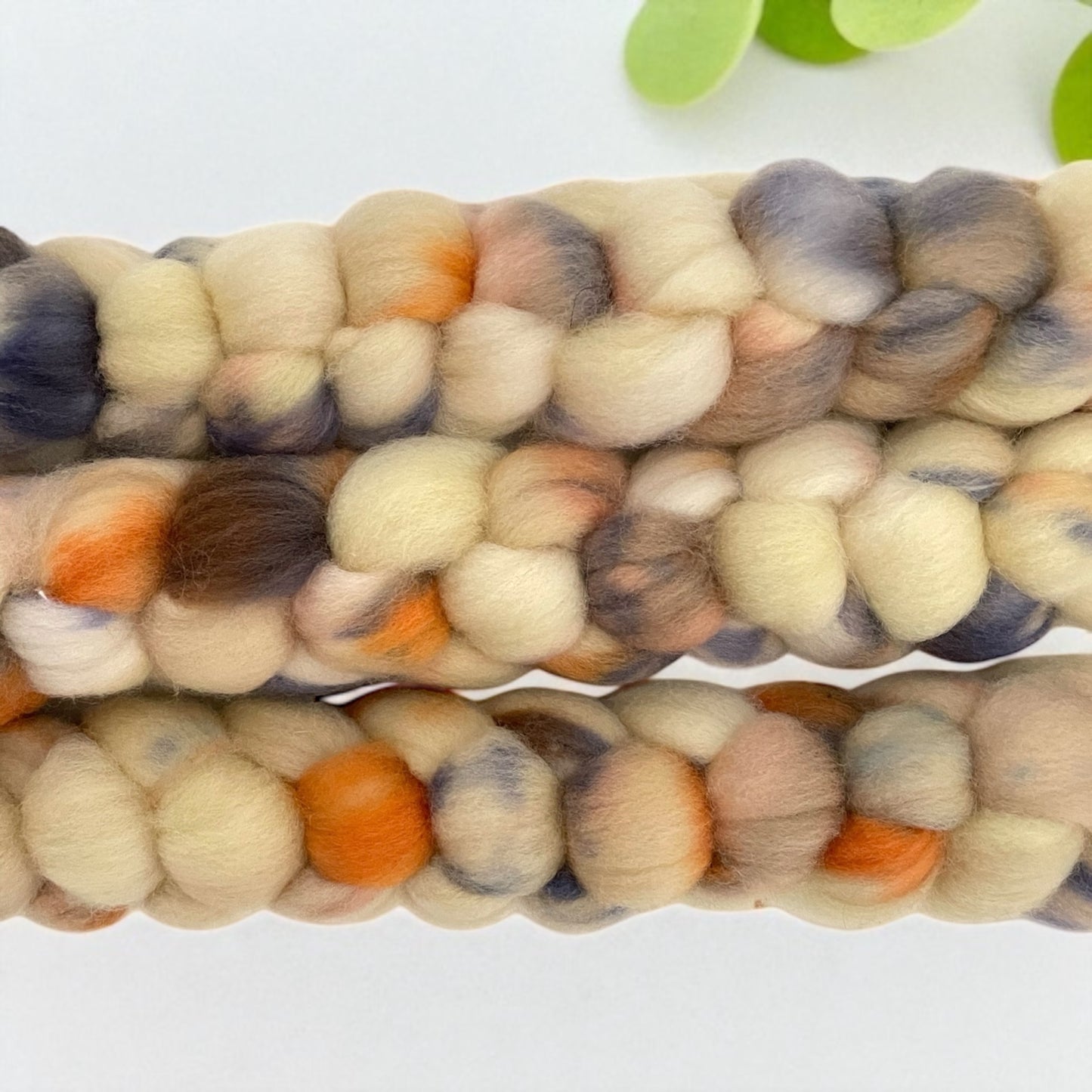 Marshmallow Cocoa - 100% Cormo Wool Fibre/Fiber