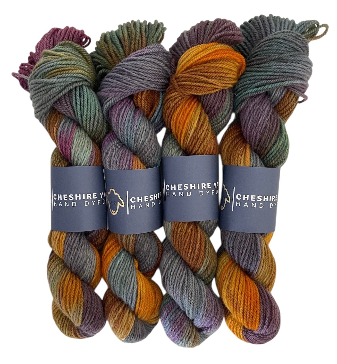 Four skeins of multicolored non superwash DK merino and bluefaced leicester yarn with 'Cheshire Hand Dyed' labels on a white background.