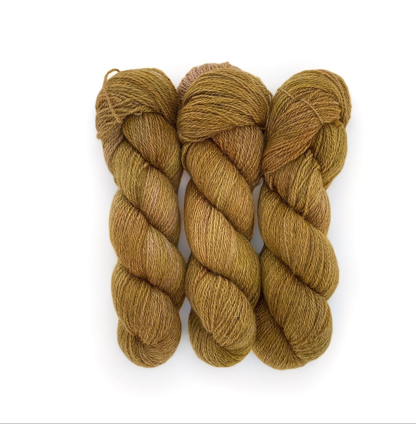 SPICE COOKIE - Fingering Weight - Bluefaced Leicester & Masham Wool
