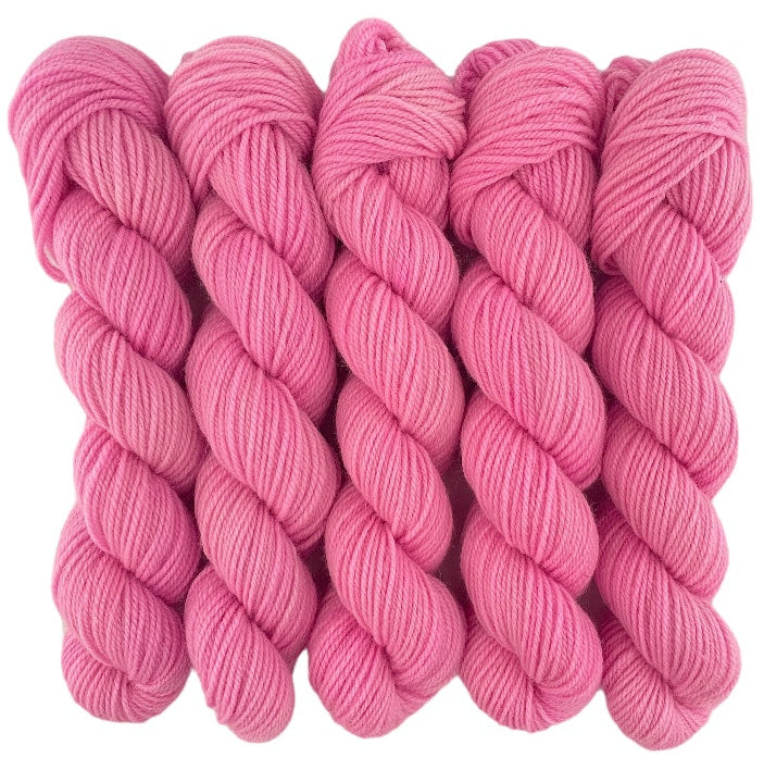 Five skeins of pink merino and blue faced Leicester non-superwash yarn on a white background. Hand dyed. DK