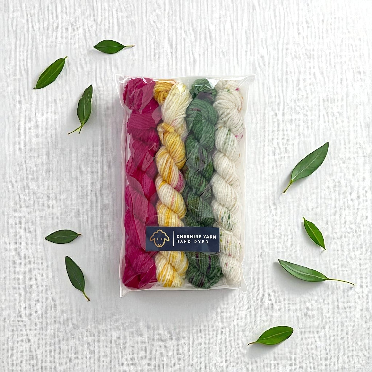 Mini Skein Set - Double Knit Weight