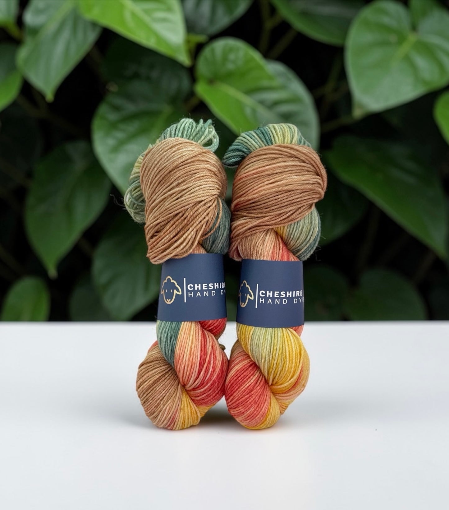 Sunset - Double Knit Weight - SW Merino & Nylon Wool