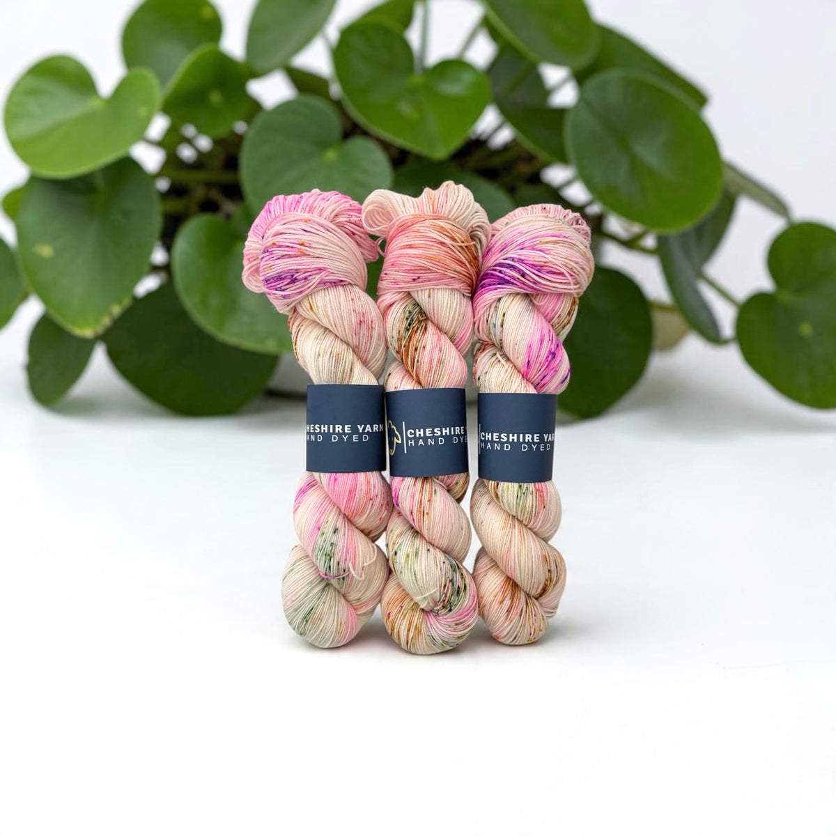 Fresh Start - Sock Weight - 75/25 Merino & Nylon
