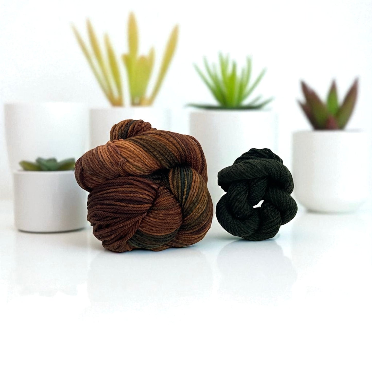 Woodland Wonder - SW Merino & Nylon Double Knit Weight - 100g + 20g