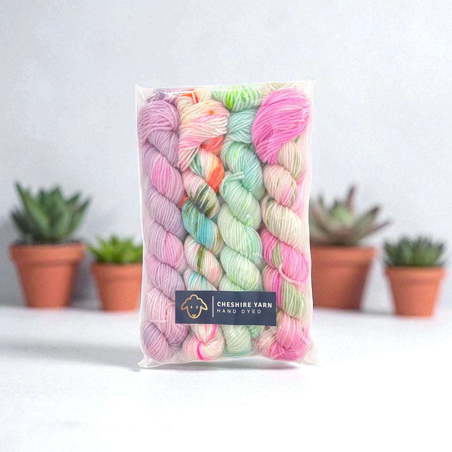 Mini Skein Set - Fingering/Sock Weight
