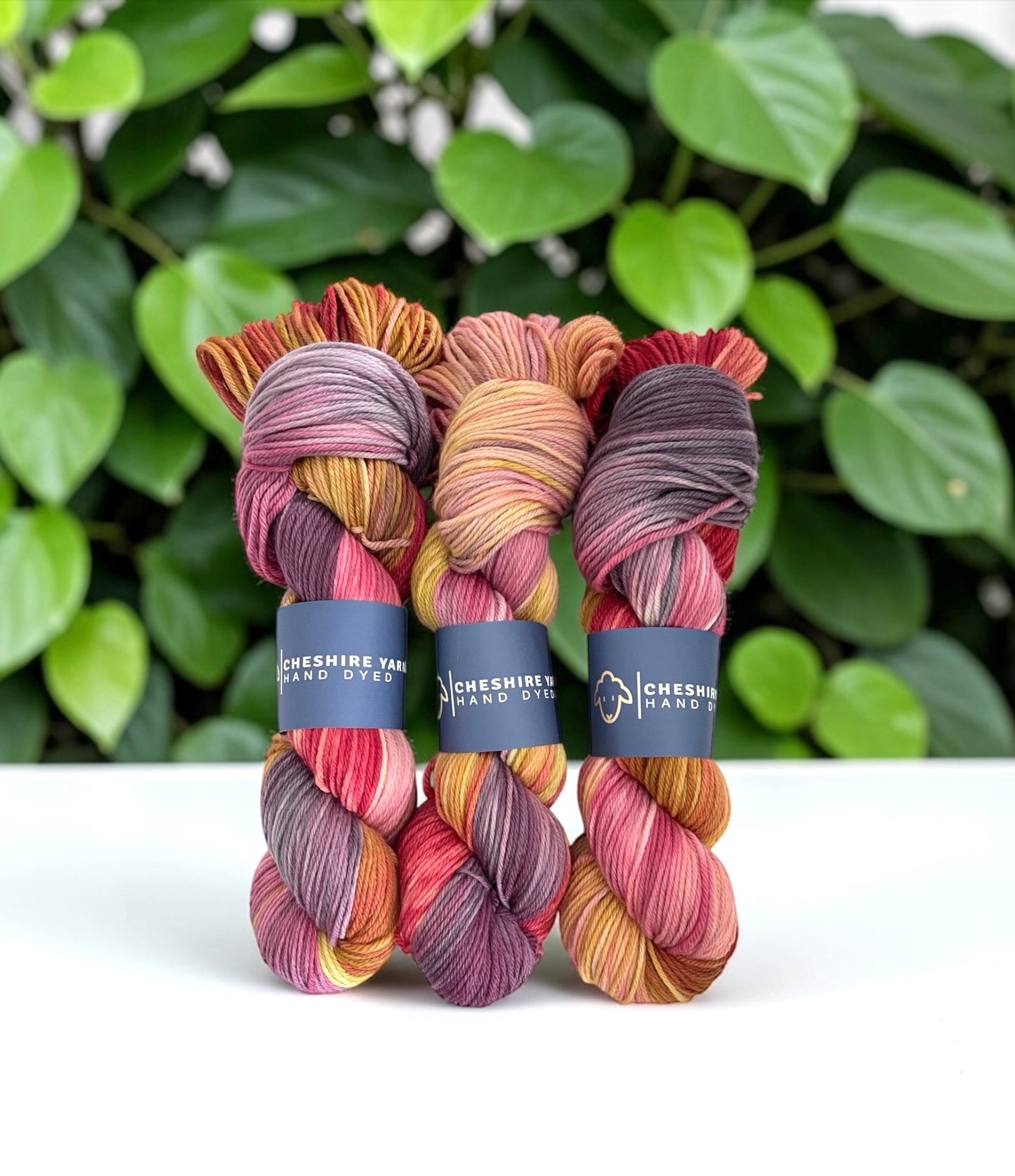 Walled Garden - Double Knit Weight - 100% SW Merino Wool
