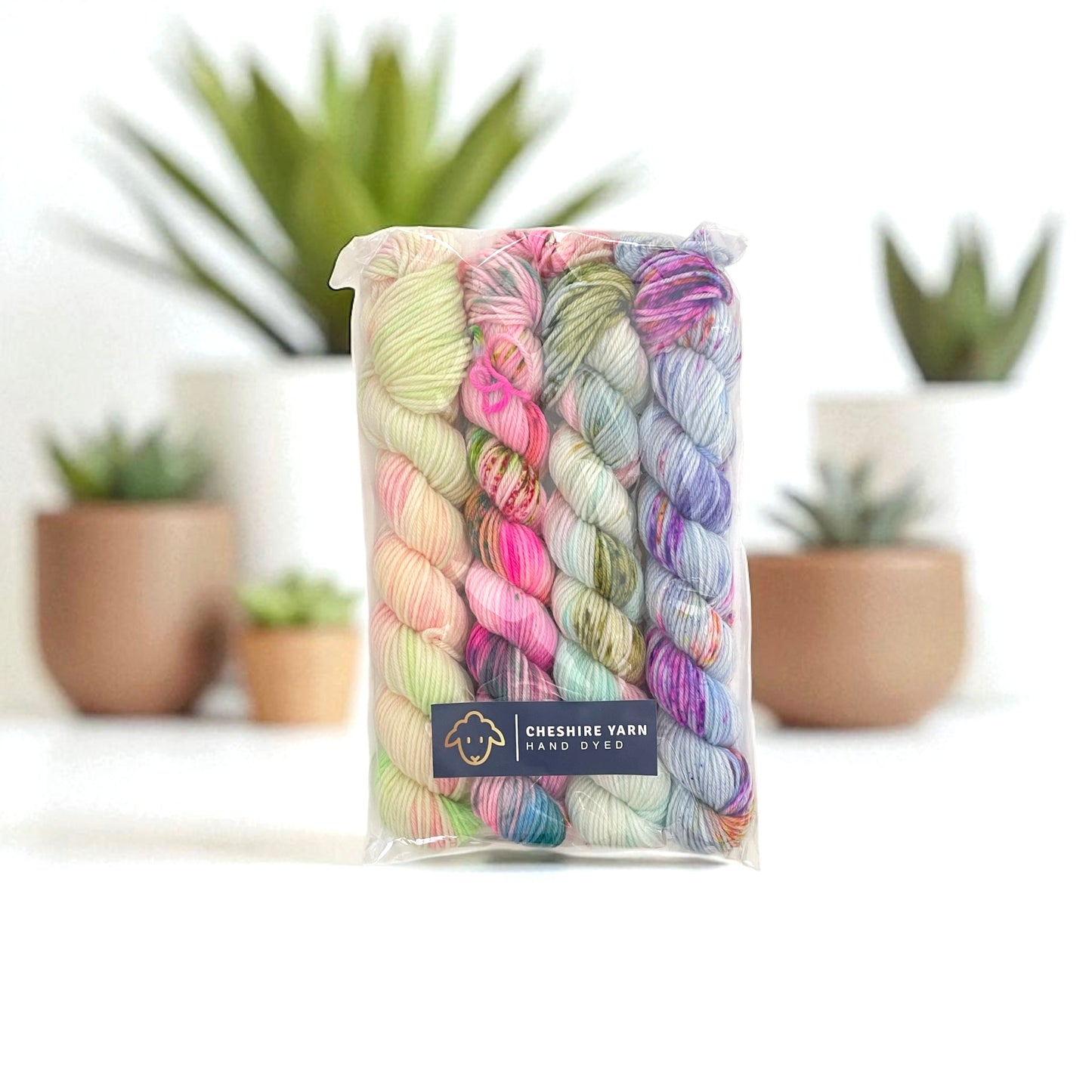 Mini Skein Set - Fingering/Sock Weight