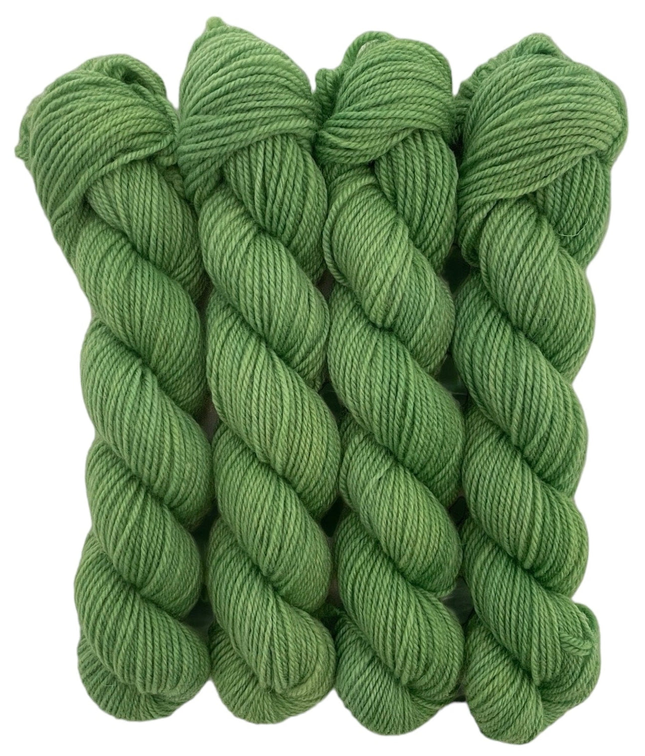 Four skeins of green merino and blue faced Leicester non-superwash yarn on a white background. Hand dyed. DK