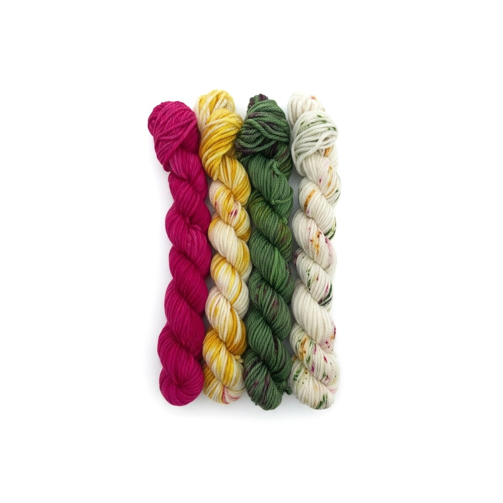 Mini Skein Set - Double Knit Weight