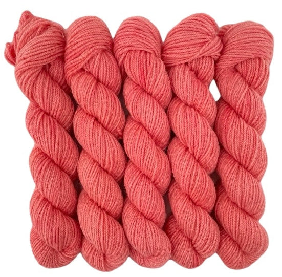 Fice skeins of red merino and blue faced Leicester non-superwash yarn on a white background. Hand dyed. DK