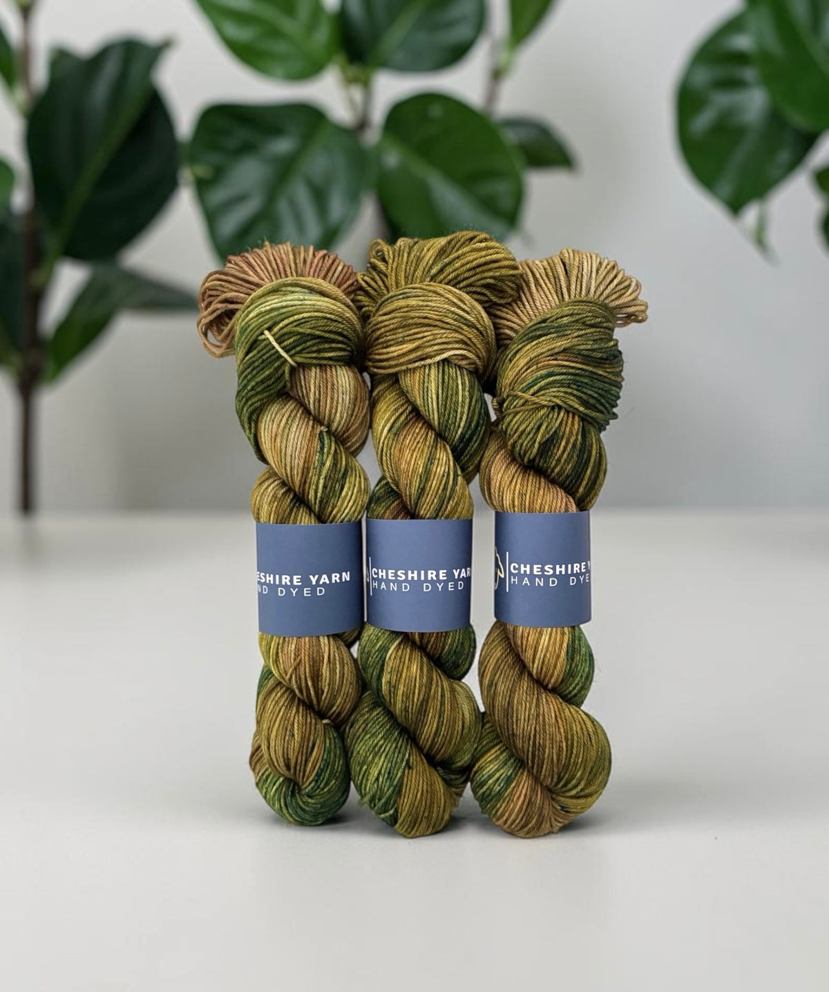 Tarnished Gold - Double Knit Weight - SW Merino & Nylon