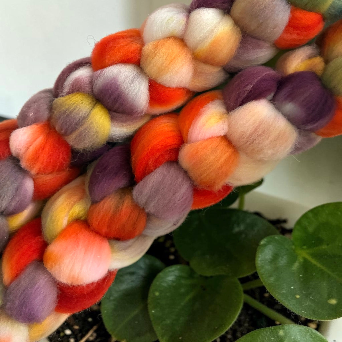 Saffron & Plum Jam  - 100%Targhee Wool Top Wool Spinning Fibre/Fiber
