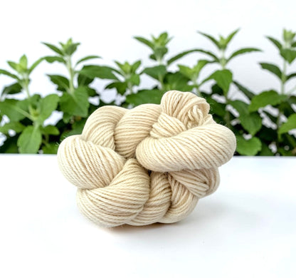 Milkshake - DK Weight 50g - Merino & BFL