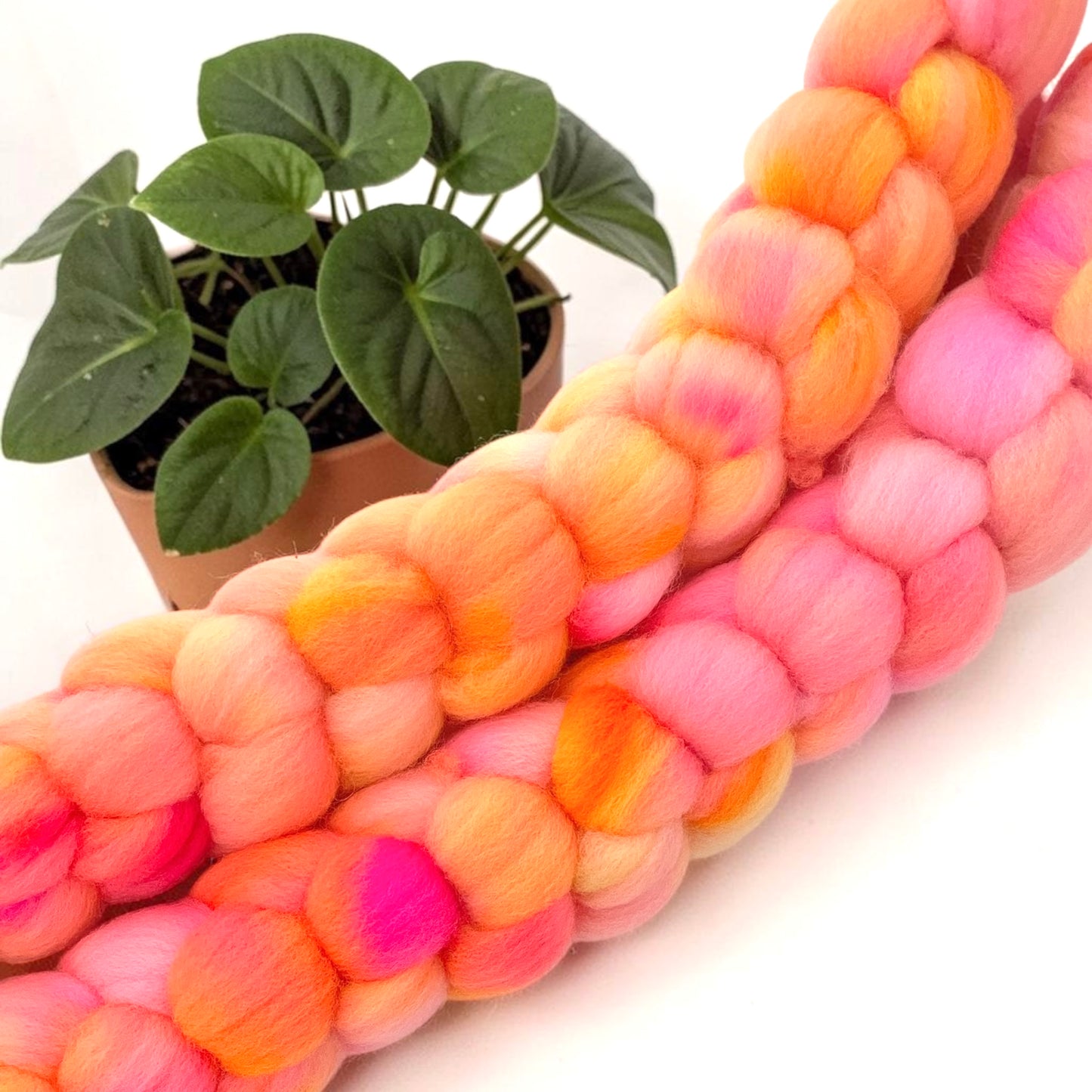 Sunshine - 100% Cormo Wool Fibre/Fiber