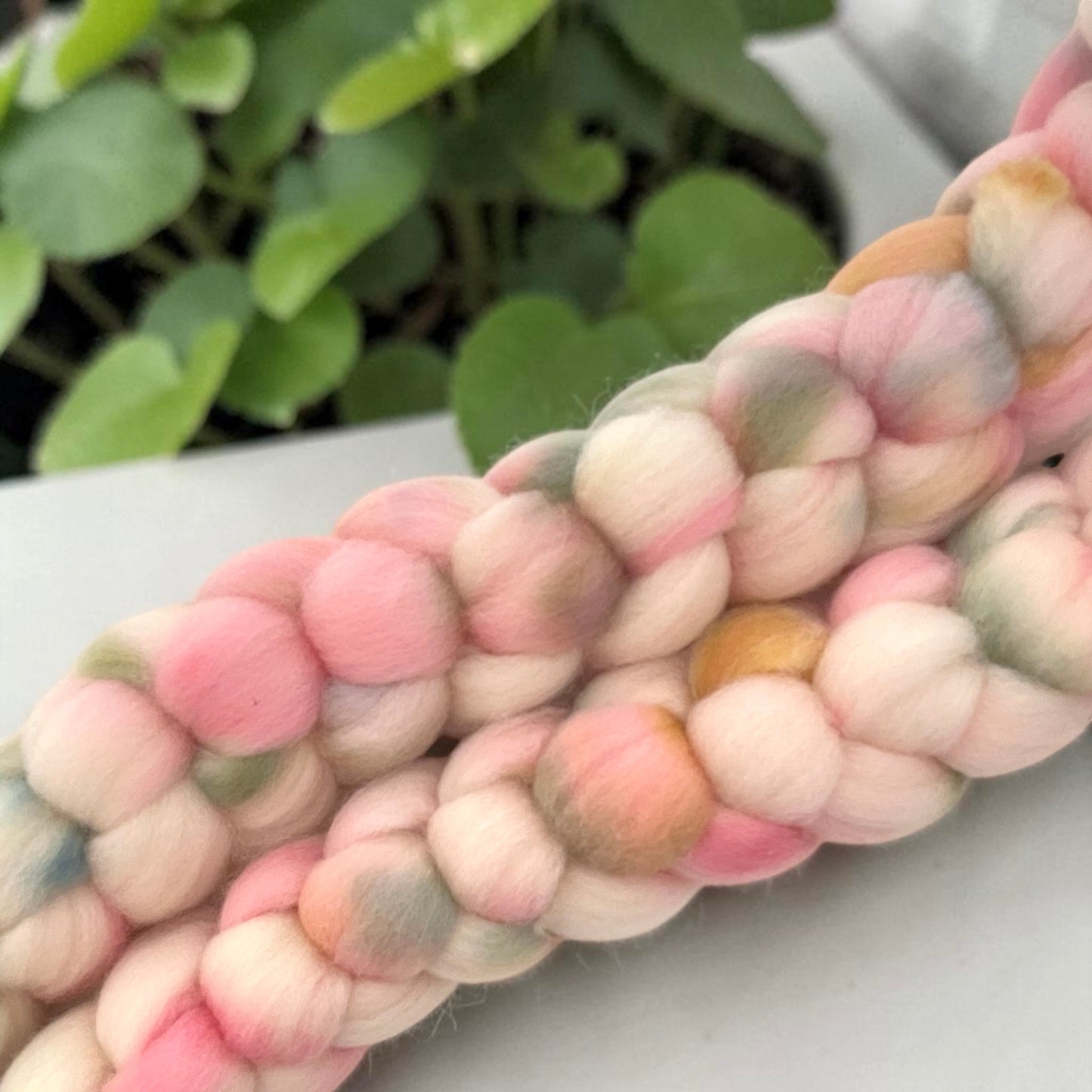 First Bud - 100% Cormo Wool Fibre/Fiber