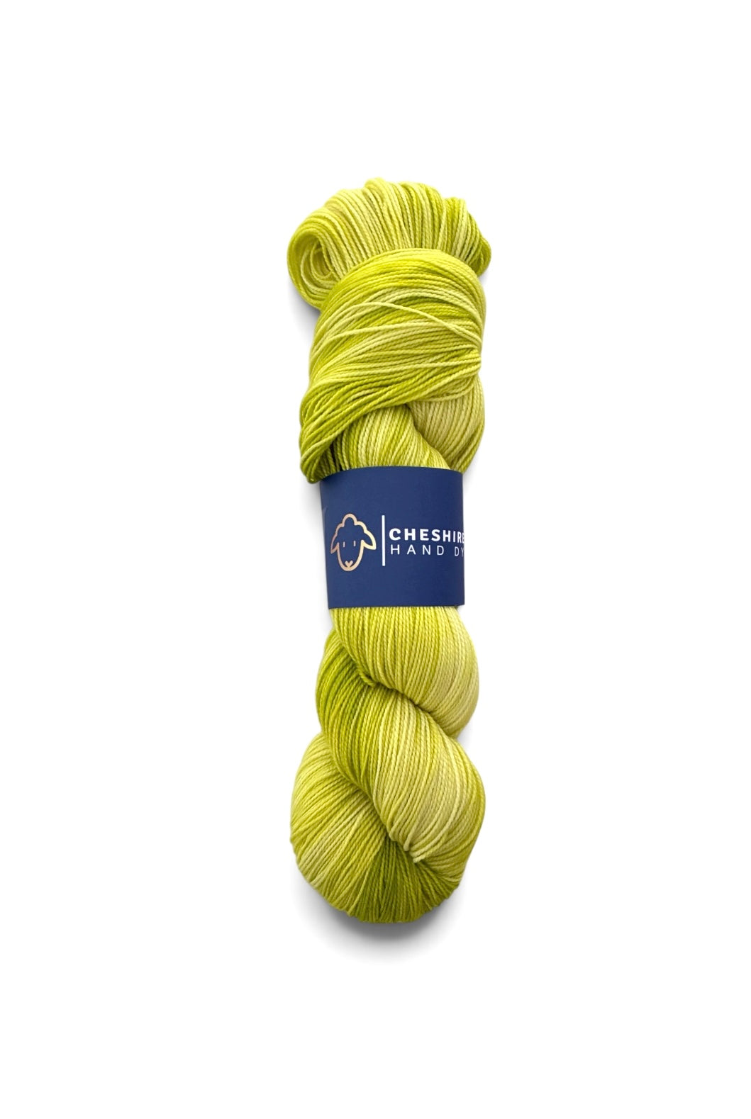 Cabbage Juice - Fingering Weight - Cashmere & Merino Wool