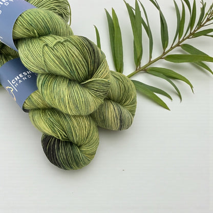 Beanstalk - Single Ply - SW Merino