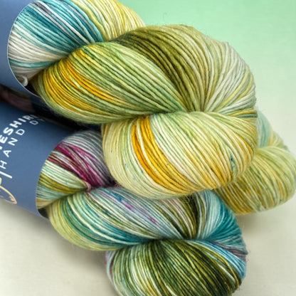 Sunlit Moss -  Fingering Weight. - Single Ply 100% SW Merino