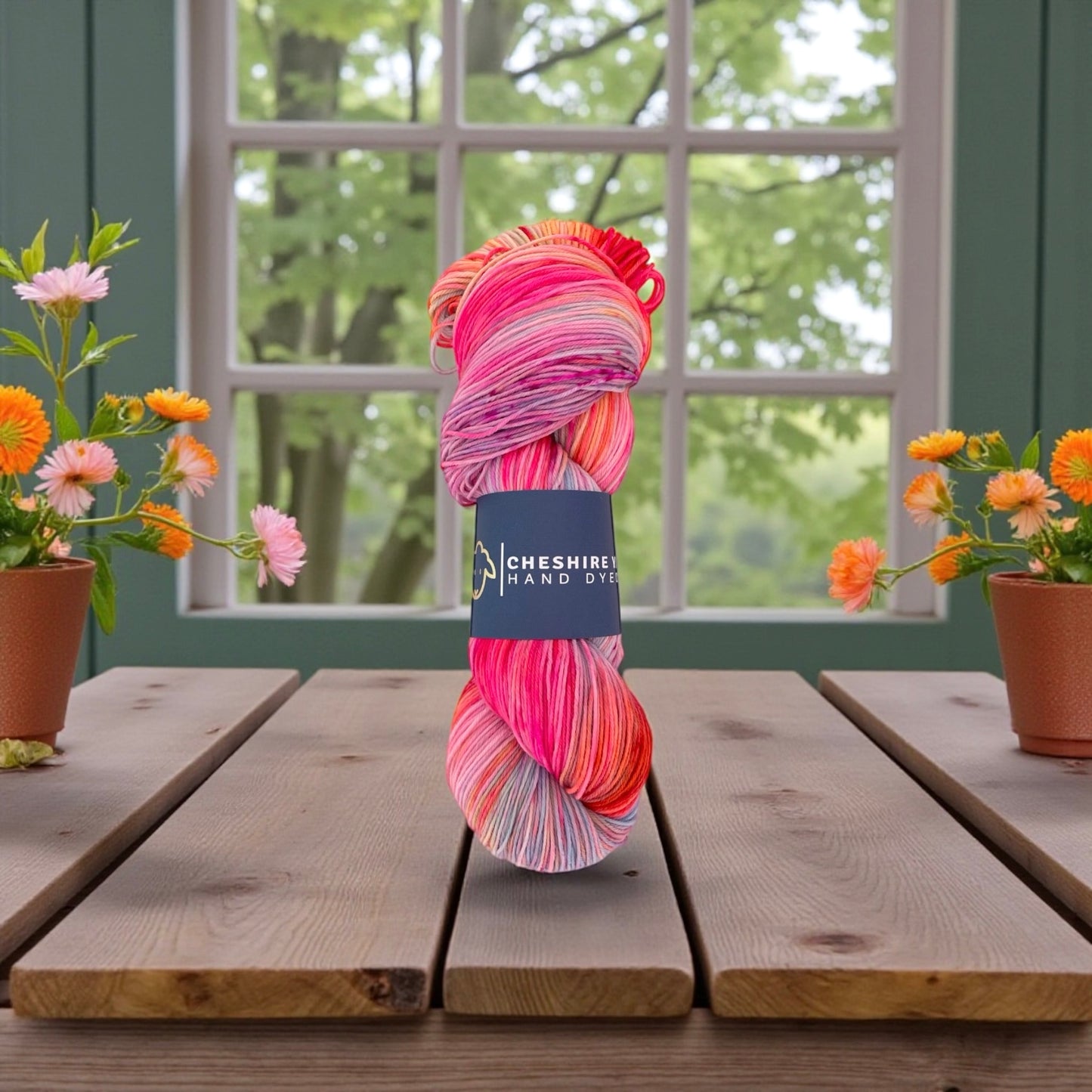 Carnival - Fingering/Sock Weight - SW Merino & Nylon