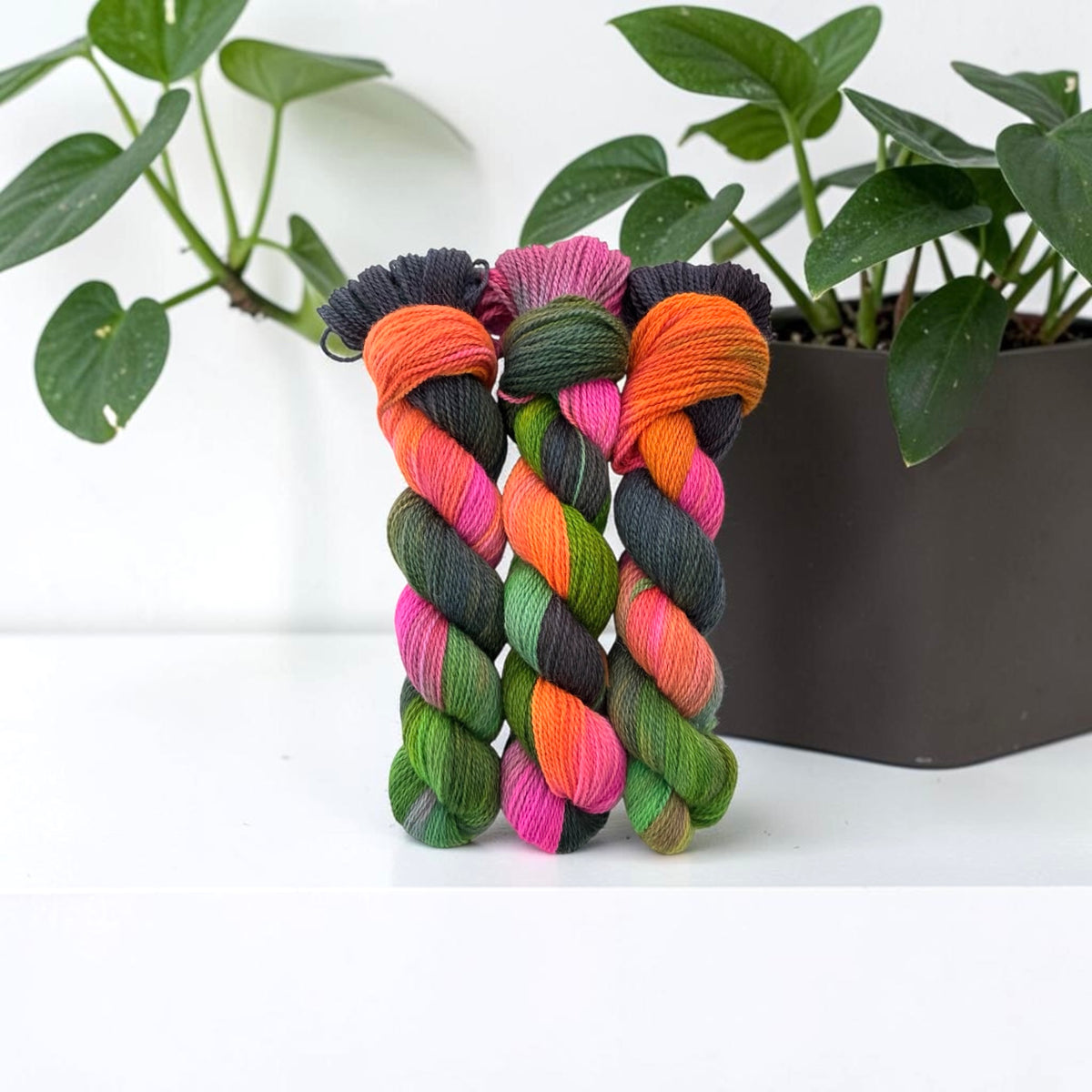 Overgrown Greenhouse - Fingering Weight. - Merino &  Bluefaced Leicester