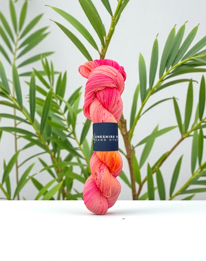 Coral Paradise - Fingering Weight - Cashmere & Merino