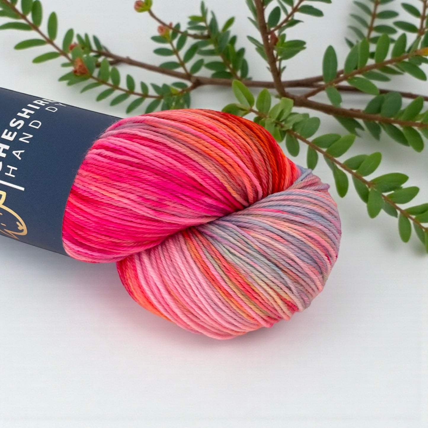 Carnival - Fingering/Sock Weight - SW Merino & Nylon