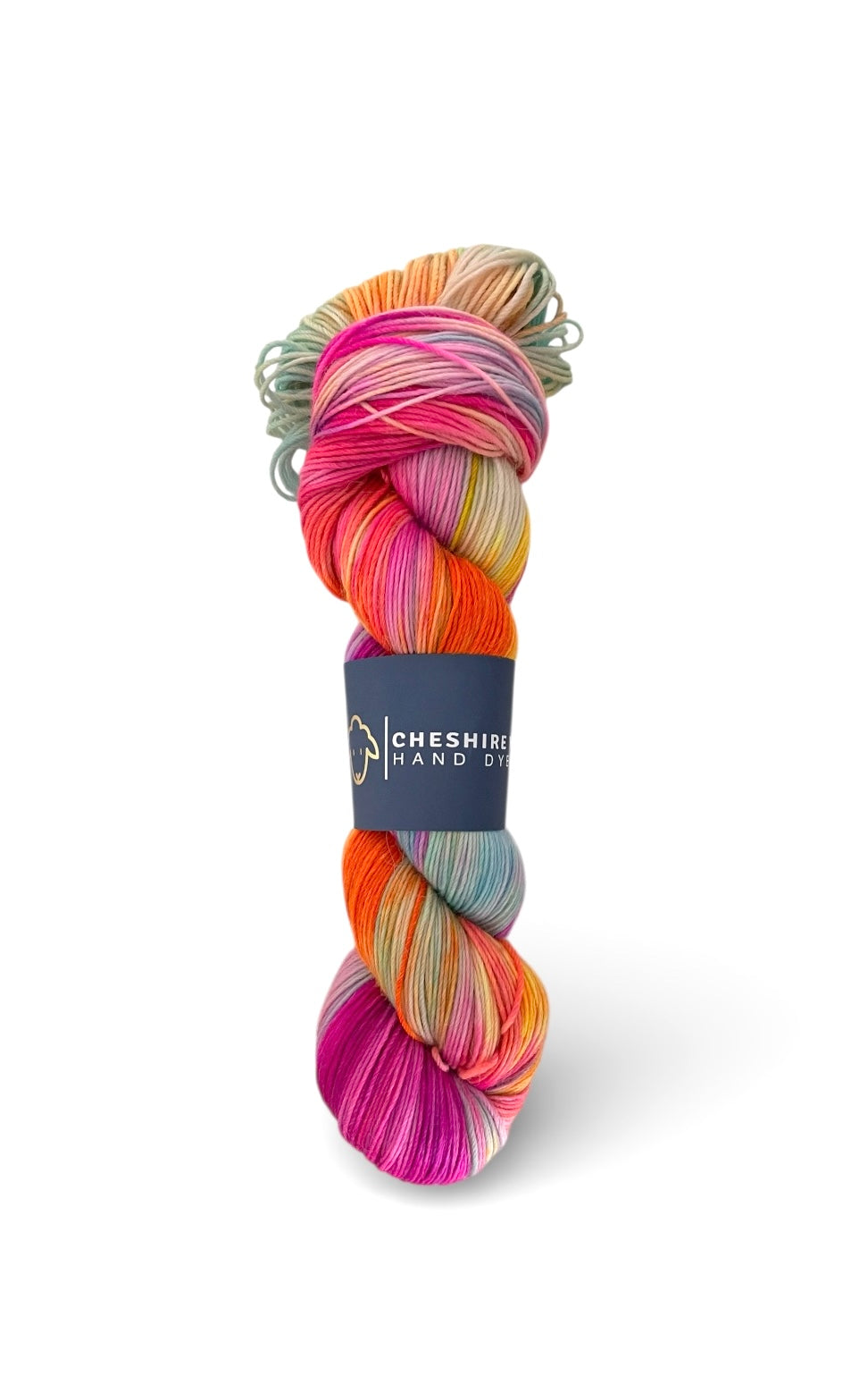 One Of A Kind - Sock Weight - SW Merino/Alpaca/Nylon