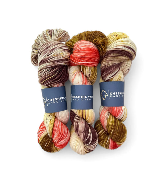 Pheasant Tail - Sock Weight - 75/25 Merino & Nylon