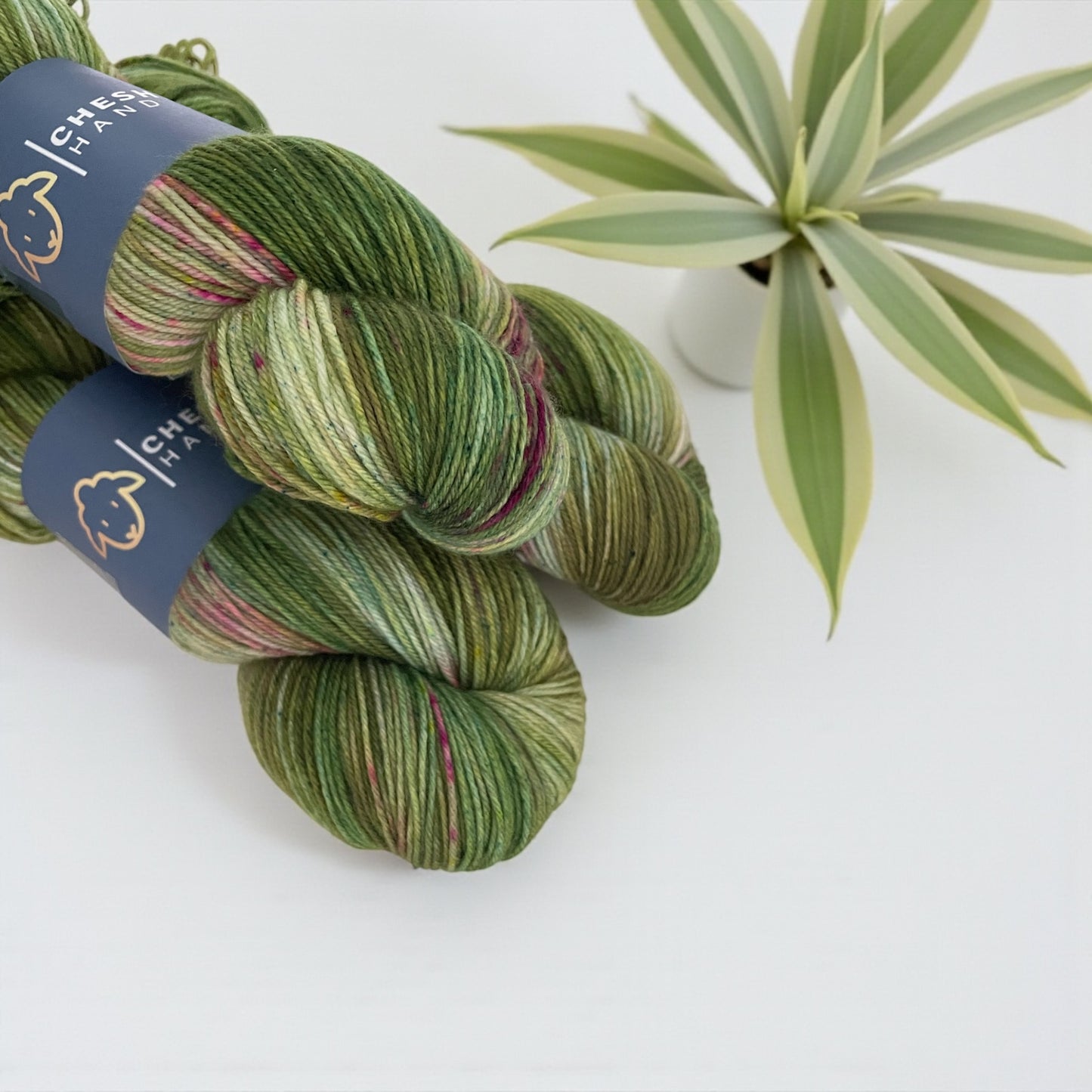 Bramble Patch -  Fingering/Sock Weight - SW Merino & Nylon