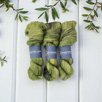 Beanstalk - Single Ply - SW Merino