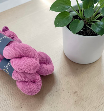 Turkish Delight - Fingering Weight - Sustainable Merino Wool