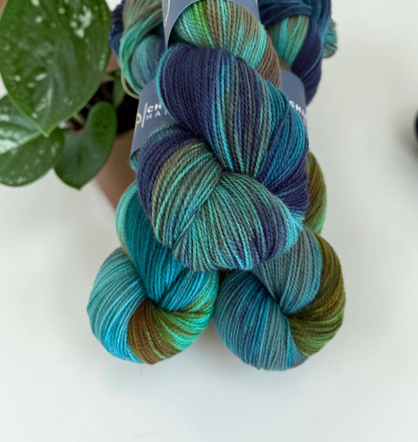 Deep Forest -  SW Fingering Weight - Blue Faced Leicester & Nylon