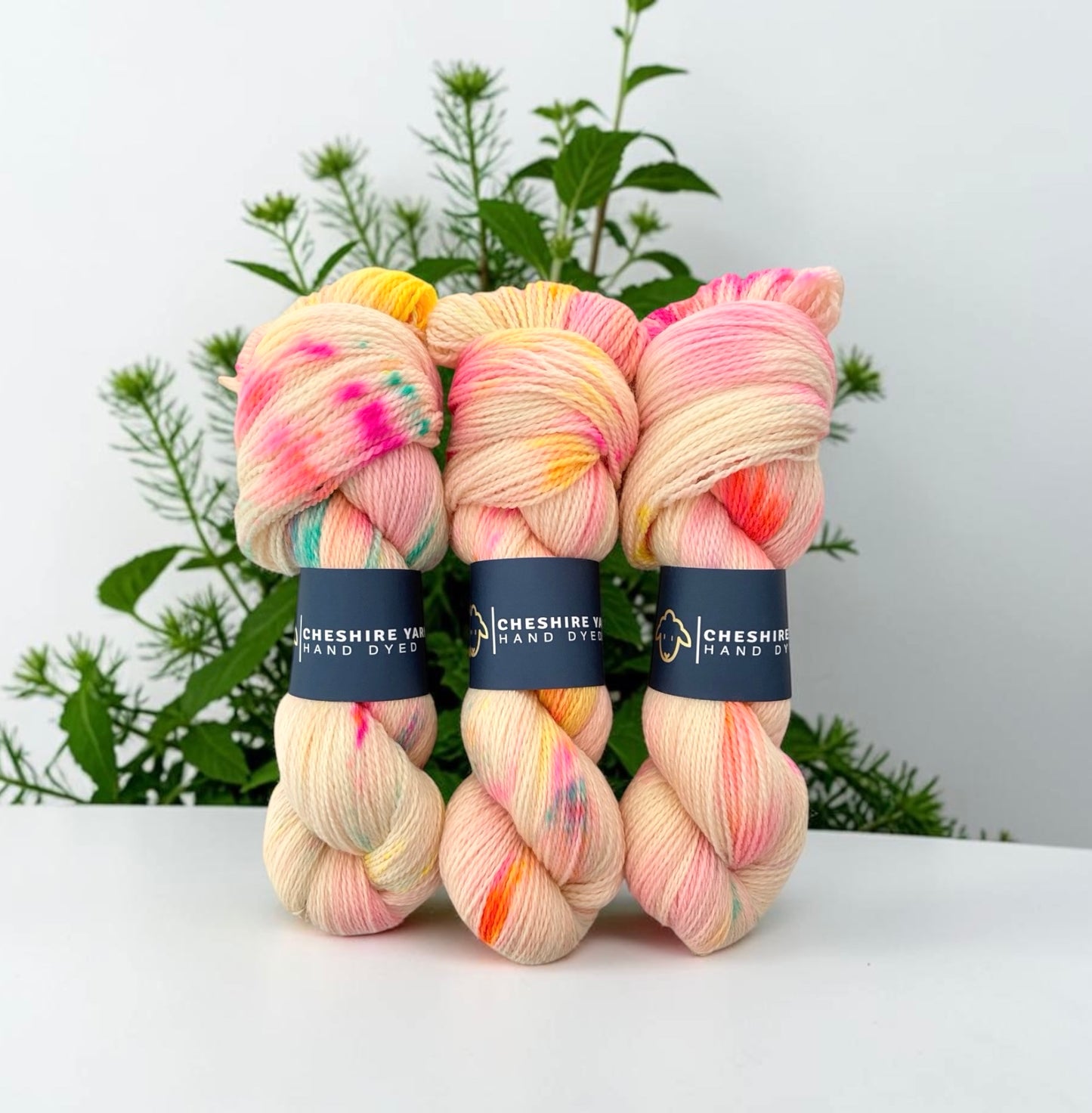 Sherbet Fizz - Highland  Wool - Fingering/Sock Weight