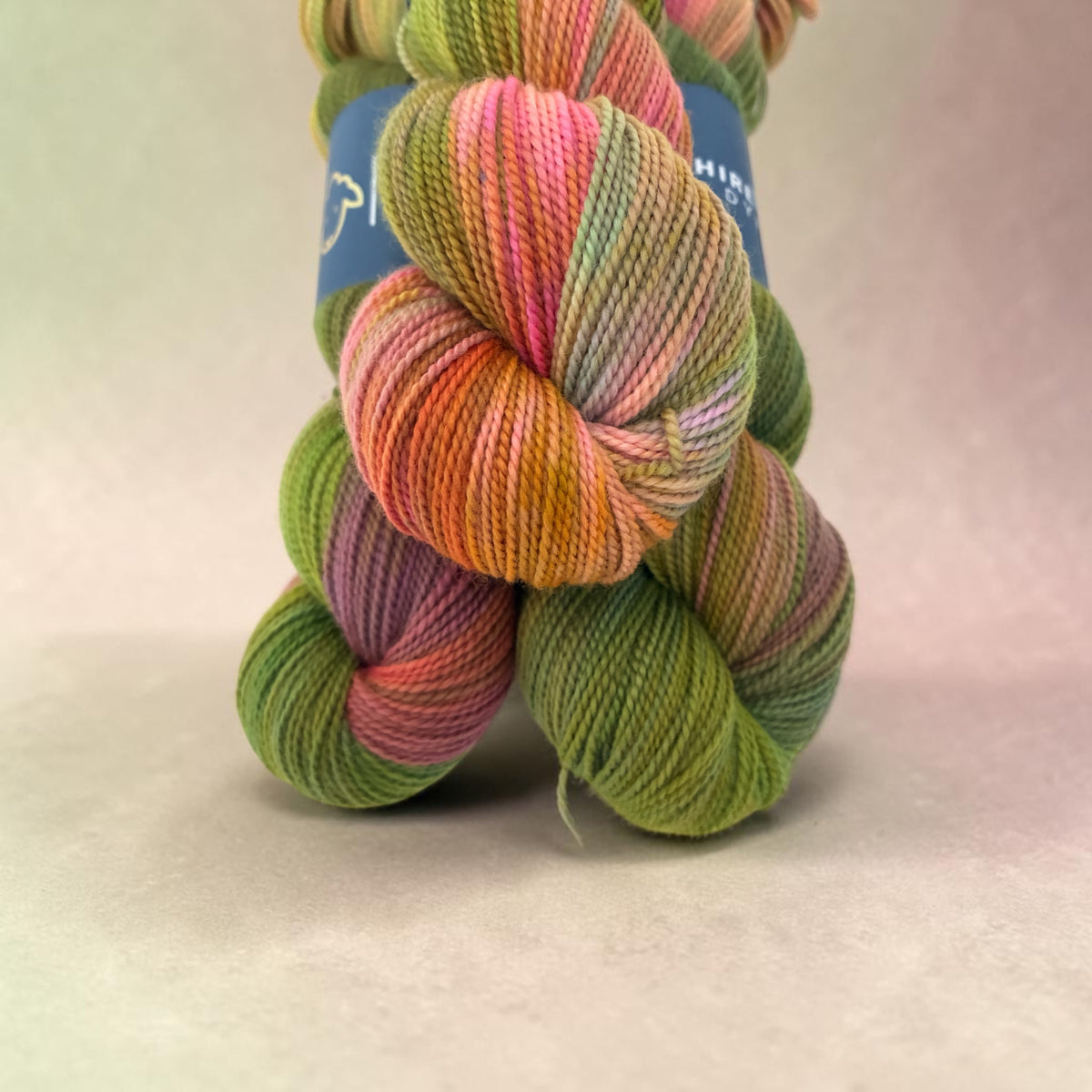 Painted Forest - Organic Merino Wool - Fingering/Sock Weight