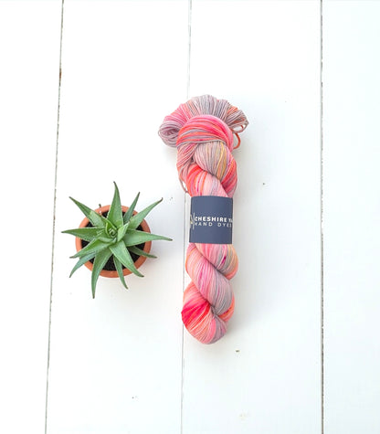 One Of A Kind - Fingering/Sock Weight - SW Merino & Nylon