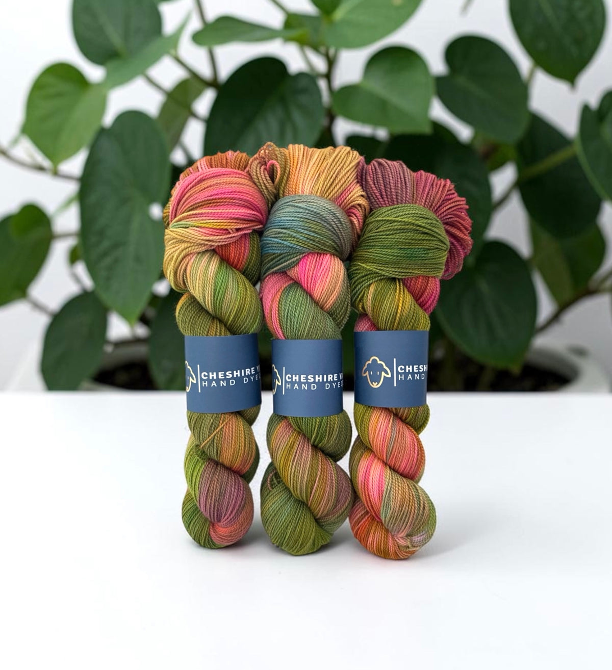 Painted Forest - Organic Merino Wool - Fingering/Sock Weight
