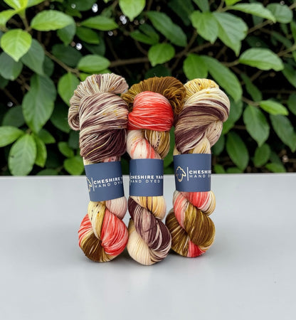 Pheasant Tail - Sock Weight - 75/25 Merino & Nylon