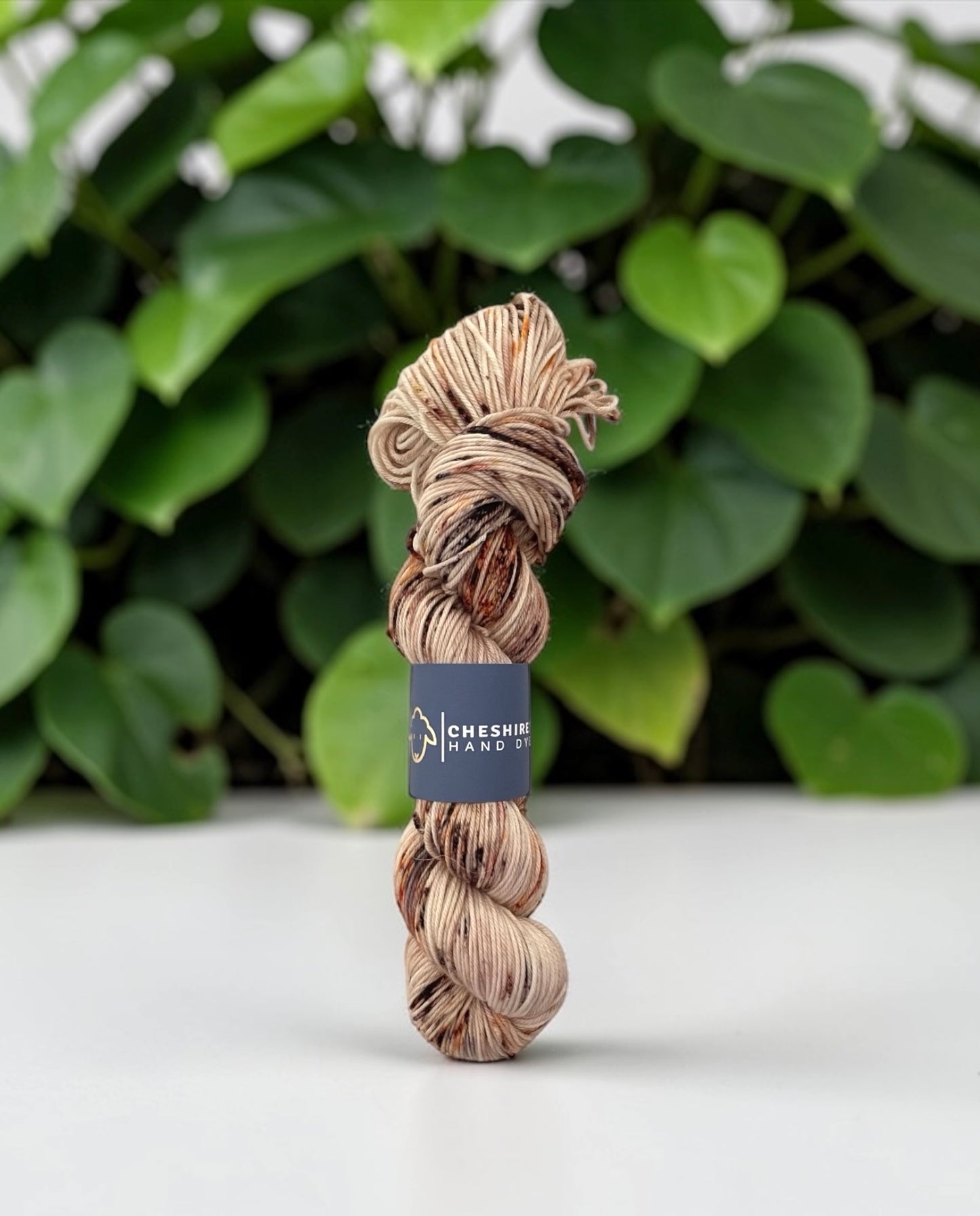 Tatty Teddy -  Double Knit Weight - 100% SW Merino Wool