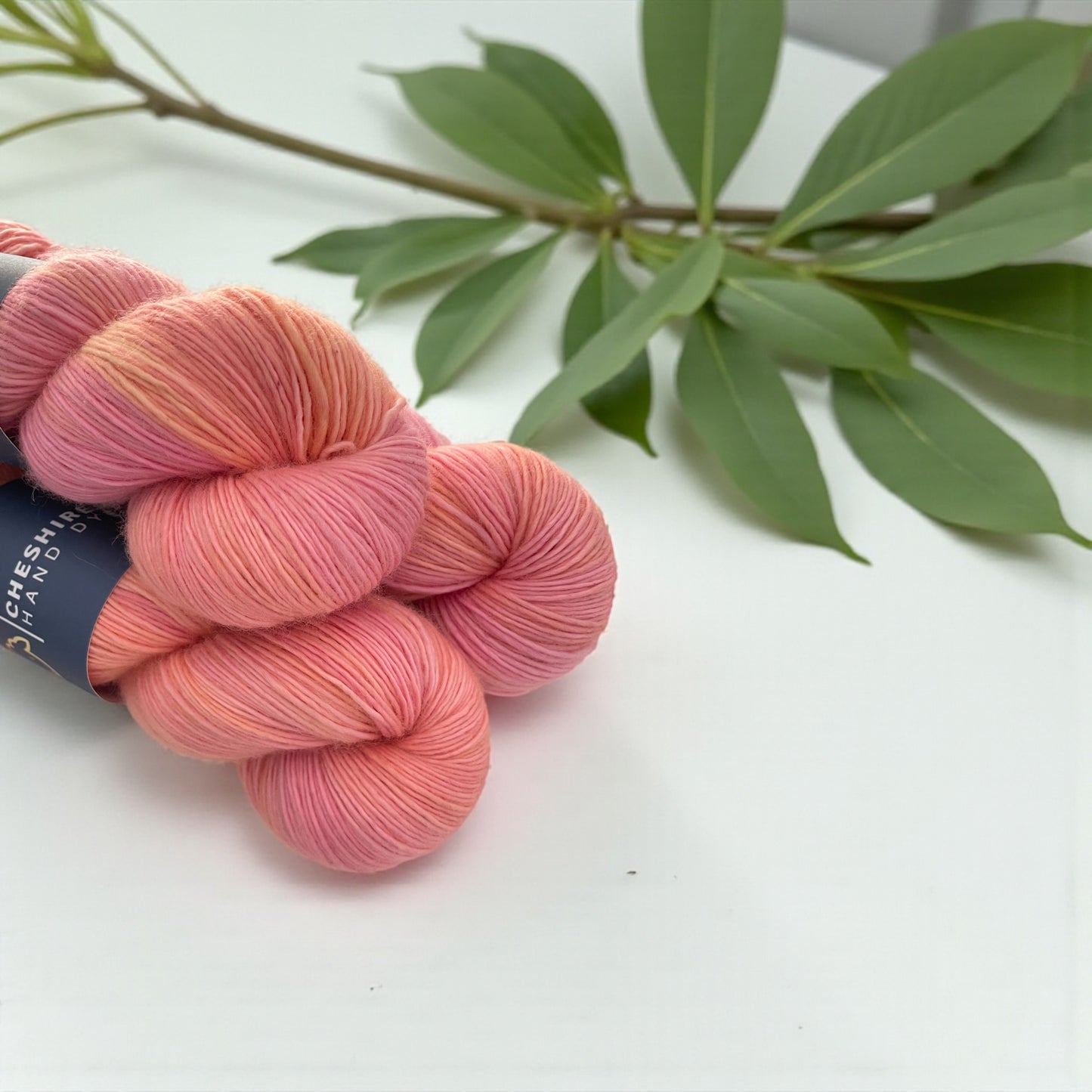 Sherbet Scoop -  Fingering Weight. - Single Ply 100% SW Merino