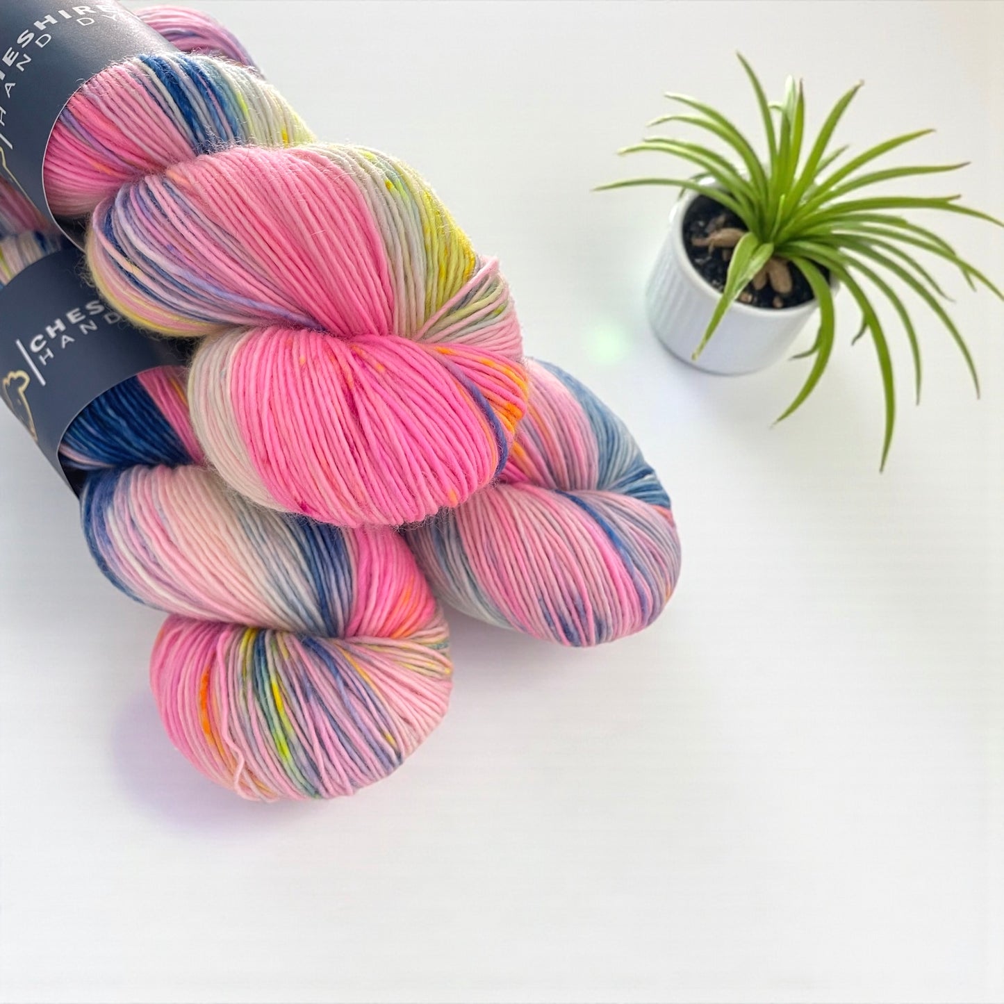 Fizzy Pop - Single Ply -100% SW Merino