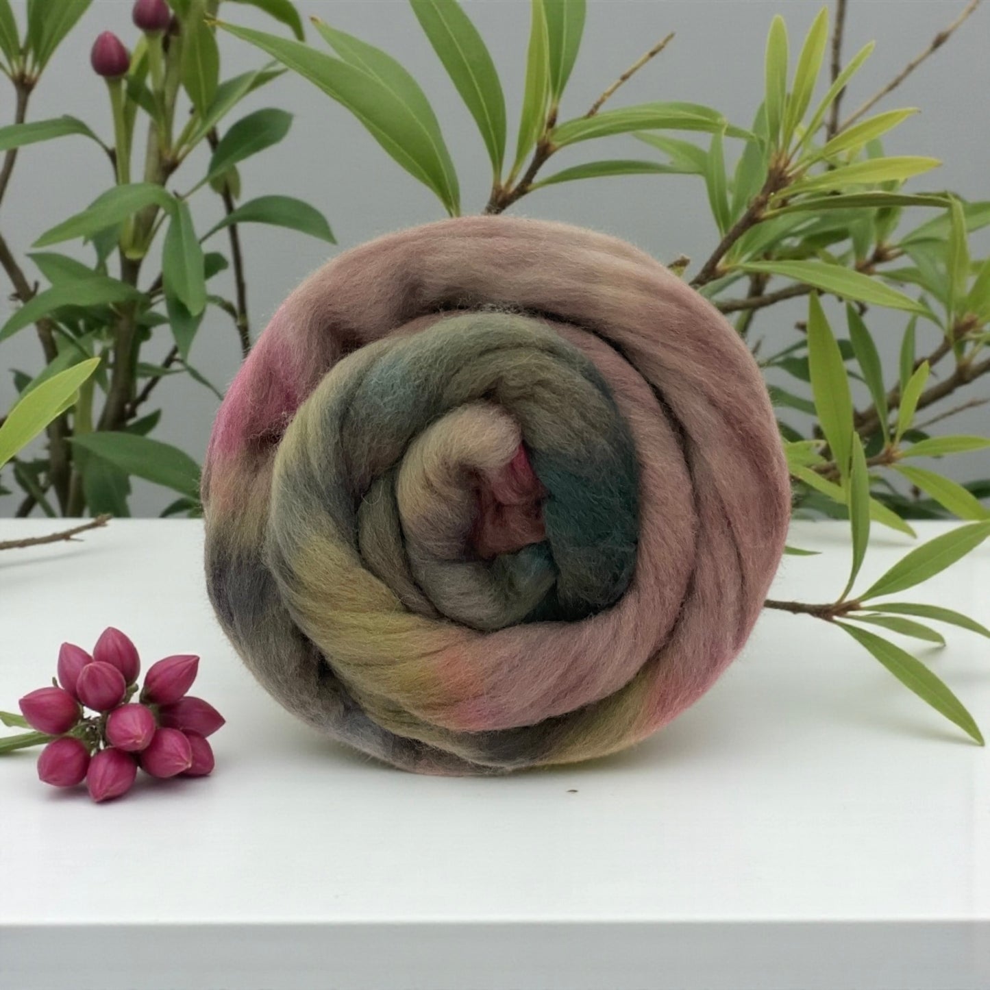 Dusty Library -100% Corriedale Wool Top Spinning Fibre/Fiber