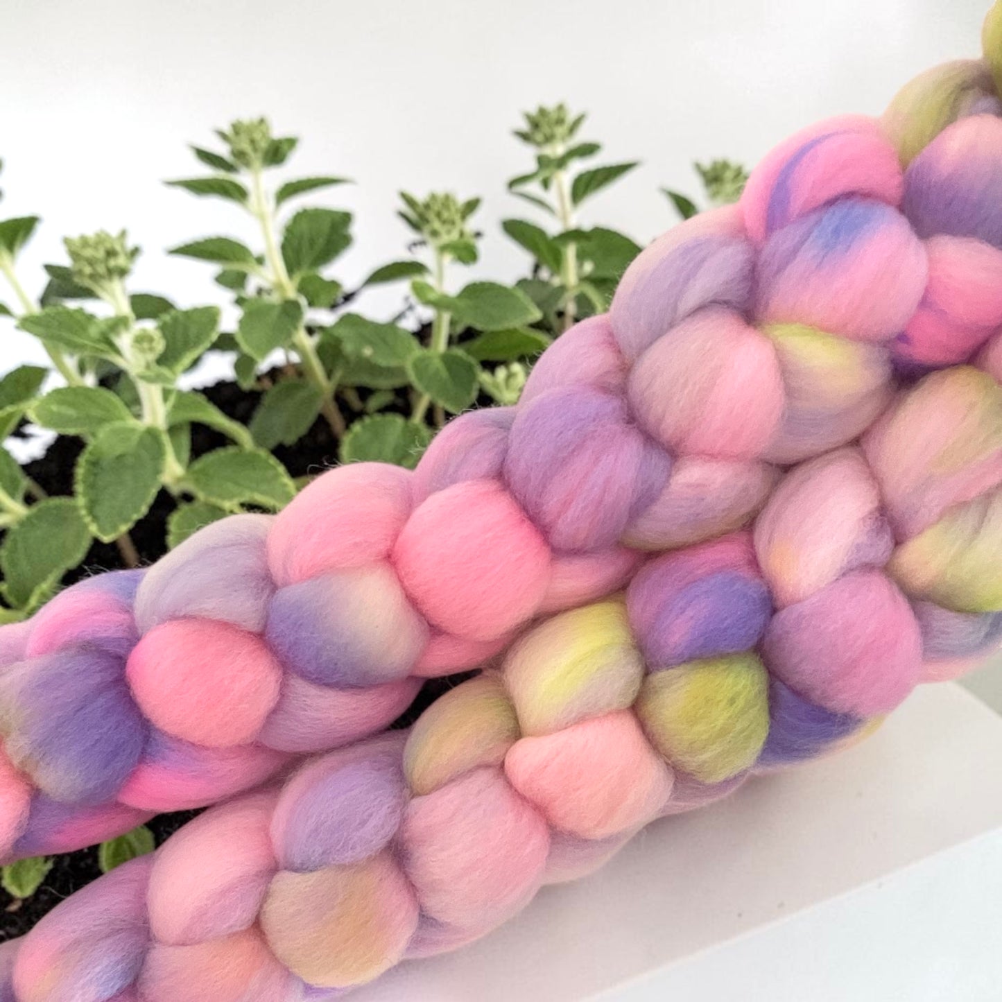 Unicorn Mane-  100% Organic Merino Wool  - Spinning Fibre/Fiber