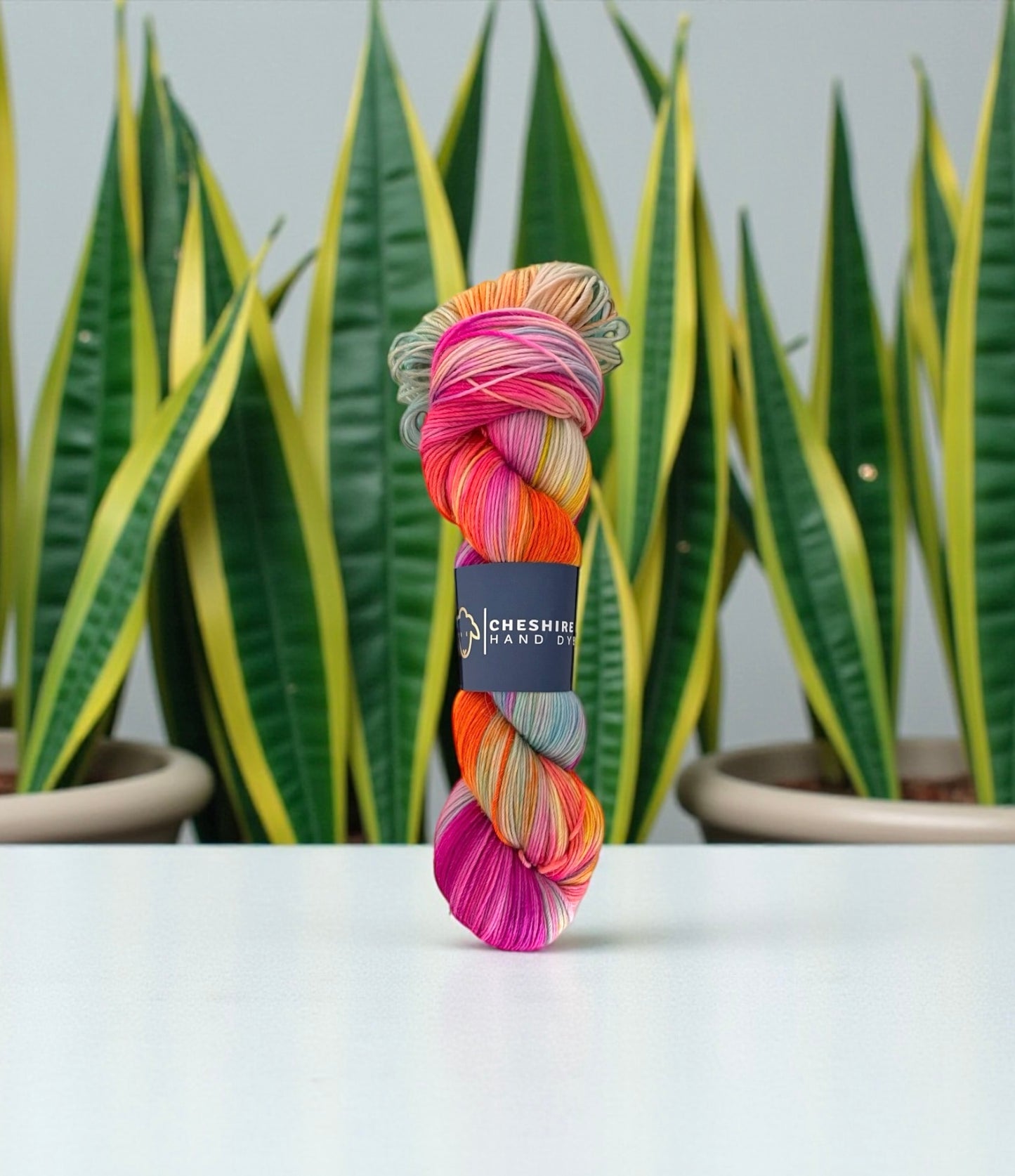 One Of A Kind - Sock Weight - SW Merino/Alpaca/Nylon