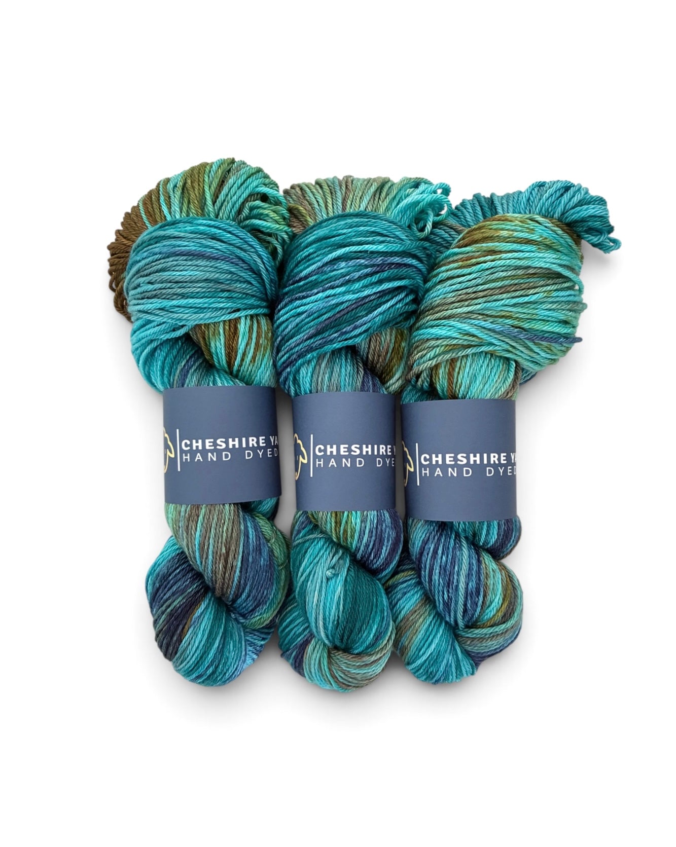 Enchanted Forest -  Double Knit Weight - SW Merino & Nylon