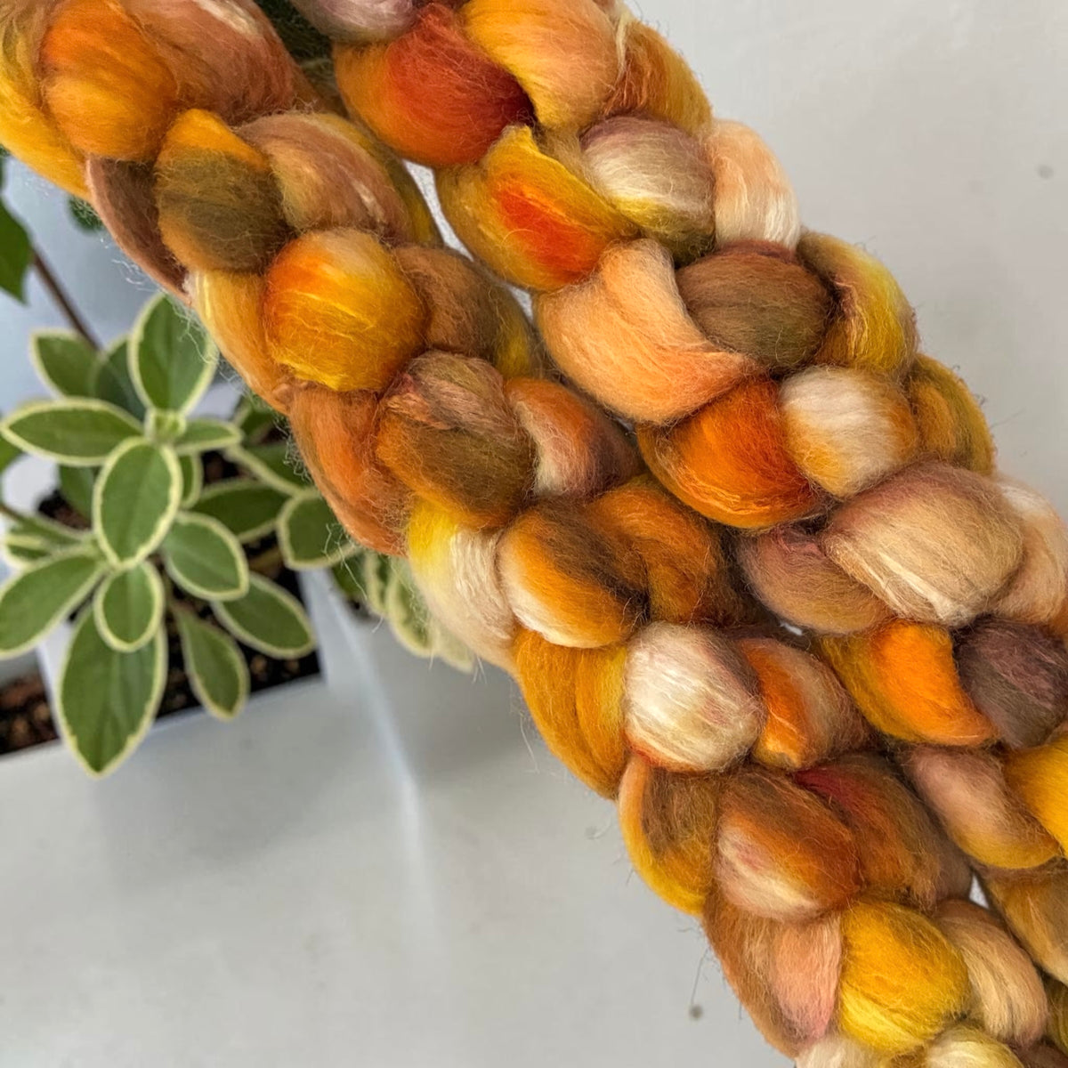 Acorn & Ochre - 70% BFL Wool 30% Tussah Silk - Fibre/Fiber