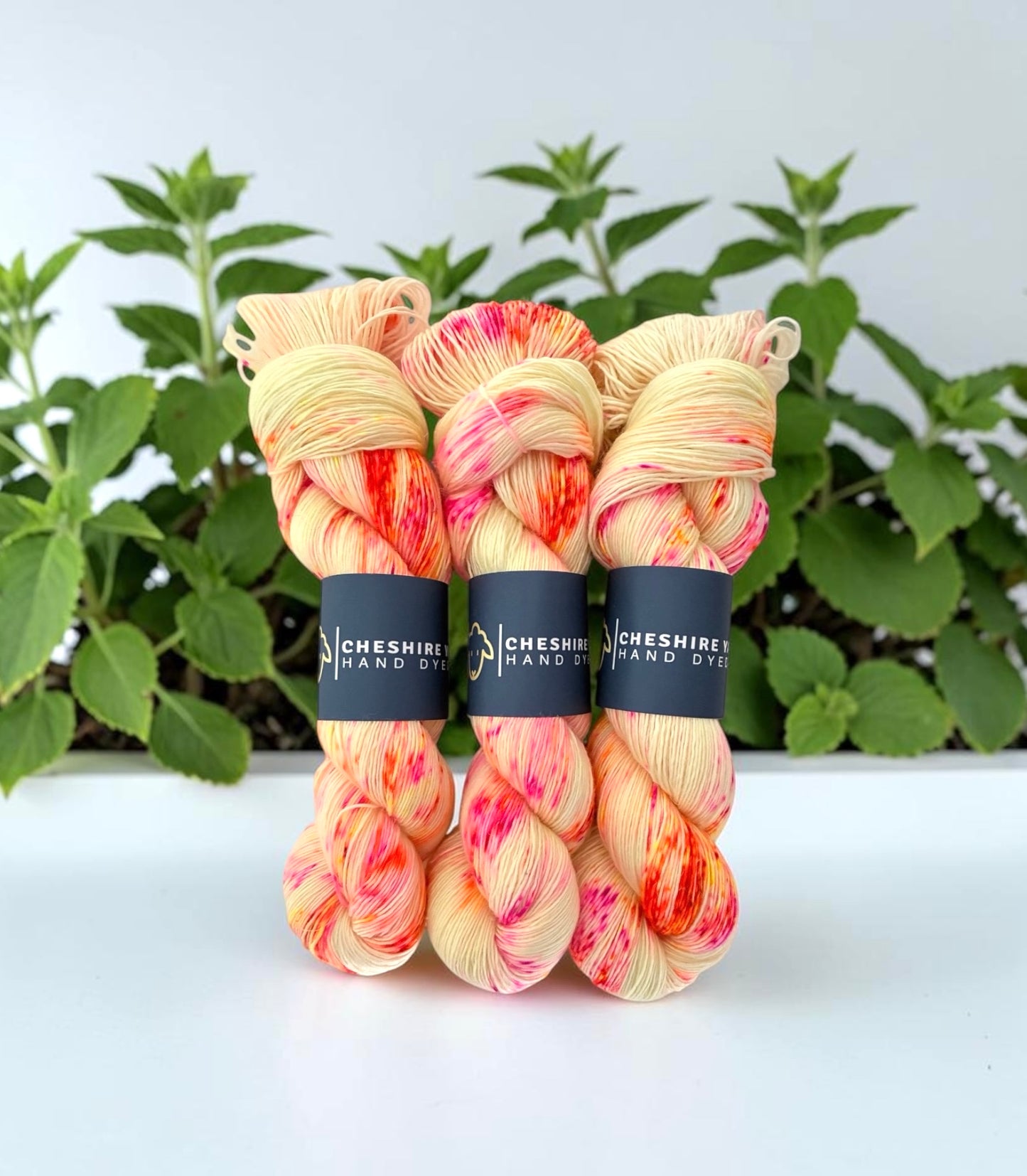 Strawberries & Cream -  Fingering Weight. - Single Ply 100% SW Merino