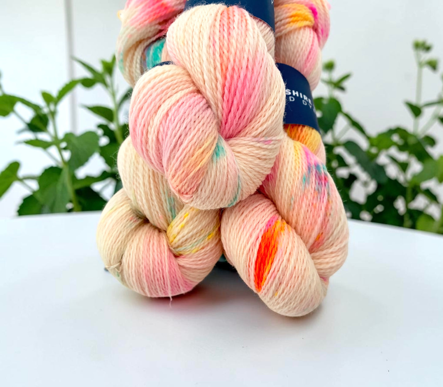 Sherbet Fizz - Highland  Wool - Fingering/Sock Weight